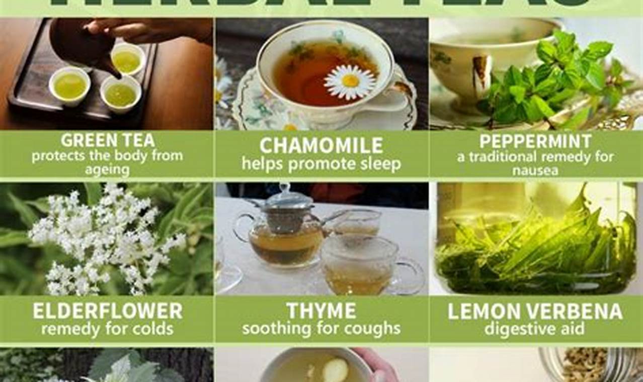 Unlock Herbal Tea Benefits: A Guide + More! Safem Fabrication - Precision Engineering & Custom Manufacturing Solutions Unlock Herbal Tea Benefits: A Guide + More! | Safem Fabrication - Precision Engineering & Custom Manufacturing Solutions