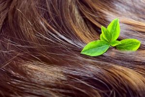 Top Herbal Supplements for Euphoria: Enhance Your Mood! The Ultimate Herbal Remedies Guide: Natural Healing for a Healthier Life Top Herbal Supplements for Euphoria: Enhance Your Mood! | The Ultimate Herbal Remedies Guide: Natural Healing for a Healthier Life