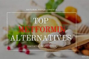 Natural Herbal Metformin Alternative? Herbs Guide Safem Fabrication - Precision Engineering & Custom Manufacturing Solutions Natural Herbal Metformin Alternative? Herbs Guide | Safem Fabrication - Precision Engineering & Custom Manufacturing Solutions