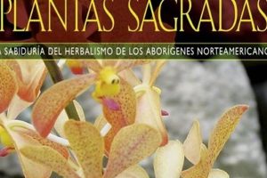 Exploring Macro de Herbalismo Lo Mexicano: Tradition & Benefits Safem Fabrication - Precision Engineering & Custom Manufacturing Solutions Exploring Macro de Herbalismo Lo Mexicano: Tradition & Benefits | Safem Fabrication - Precision Engineering & Custom Manufacturing Solutions