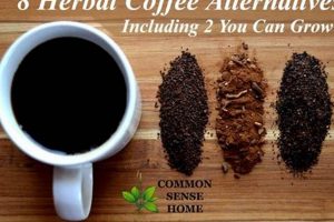 Herbals: Best Herbal Coffee Alternative Today! The Ultimate Herbal Remedies Guide: Natural Healing for a Healthier Life Herbals: Best Herbal Coffee Alternative Today! | The Ultimate Herbal Remedies Guide: Natural Healing for a Healthier Life