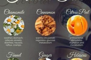 Tea Types: Are All Teas Herbal? Explained Safem Fabrication - Precision Engineering & Custom Manufacturing Solutions Tea Types: Are All Teas Herbal? Explained | Safem Fabrication - Precision Engineering & Custom Manufacturing Solutions