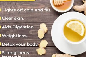 Unlock Lemon Ginger Herbal Tea Benefits: Your Guide The Ultimate Herbal Remedies Guide: Natural Healing for a Healthier Life Unlock Lemon Ginger Herbal Tea Benefits: Your Guide | The Ultimate Herbal Remedies Guide: Natural Healing for a Healthier Life