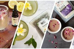 Best Herbals: Alcohol Alternatives + Mixers Safem Fabrication - Precision Engineering & Custom Manufacturing Solutions Best Herbals: Alcohol Alternatives + Mixers | Safem Fabrication - Precision Engineering & Custom Manufacturing Solutions