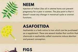 Is Herbal Papaya Birth Control Safe? Facts & Myths The Ultimate Herbal Remedies Guide: Natural Healing for a Healthier Life Is Herbal Papaya Birth Control Safe? Facts & Myths | The Ultimate Herbal Remedies Guide: Natural Healing for a Healthier Life