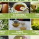 Beyond Tea: What is Considered Herbal Tea? + Benefits | The Ultimate Herbal Remedies Guide: Natural Healing for a Healthier Life