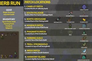 OSRS Herblore: The Ultimate Herbalism Guide [2024] | The Ultimate Herbal Remedies Guide: Natural Healing for a Healthier Life