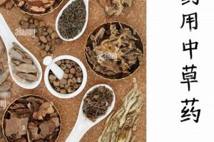Natural Herbal Medicine Cork: Benefits & Uses The Ultimate Herbal Remedies Guide: Natural Healing for a Healthier Life Natural Herbal Medicine Cork: Benefits & Uses | The Ultimate Herbal Remedies Guide: Natural Healing for a Healthier Life