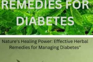Natural Herbal Remedies for Diabetes: A Guide The Ultimate Herbal Remedies Guide: Natural Healing for a Healthier Life Natural Herbal Remedies for Diabetes: A Guide | The Ultimate Herbal Remedies Guide: Natural Healing for a Healthier Life