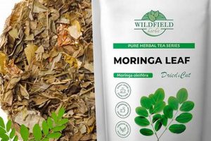 The Power of Moringa Oleifera Herbal Tea: Benefits & Uses The Ultimate Herbal Remedies Guide: Natural Healing for a Healthier Life The Power of Moringa Oleifera Herbal Tea: Benefits & Uses | The Ultimate Herbal Remedies Guide: Natural Healing for a Healthier Life