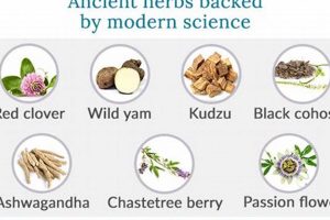 Find Natural Herbals: Herbal Equilibrium & You Safem Fabrication - Precision Engineering & Custom Manufacturing Solutions Find Natural Herbals: Herbal Equilibrium & You | Safem Fabrication - Precision Engineering & Custom Manufacturing Solutions