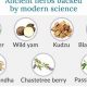 Find Natural Herbals: Herbal Equilibrium &amp; You | The Ultimate Herbal Remedies Guide: Natural Healing for a Healthier Life