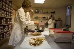 Unlock Chinese Herbal Medicine Certificate Programs Today! The Ultimate Herbal Remedies Guide: Natural Healing for a Healthier Life Unlock Chinese Herbal Medicine Certificate Programs Today! | The Ultimate Herbal Remedies Guide: Natural Healing for a Healthier Life