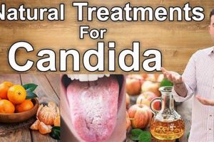 Natural Candidiasis Herbal Treatment: Relief & Remedies The Ultimate Herbal Remedies Guide: Natural Healing for a Healthier Life Natural Candidiasis Herbal Treatment: Relief & Remedies | The Ultimate Herbal Remedies Guide: Natural Healing for a Healthier Life