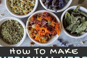 Easy Herbal Medicinal Recipes: Nature's Remedies The Ultimate Herbal Remedies Guide: Natural Healing for a Healthier Life Easy Herbal Medicinal Recipes: Nature's Remedies | The Ultimate Herbal Remedies Guide: Natural Healing for a Healthier Life