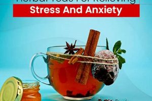 Best Herbal Tea for Stress: Calm Your Nerves Naturally The Ultimate Herbal Remedies Guide: Natural Healing for a Healthier Life Best Herbal Tea for Stress: Calm Your Nerves Naturally | The Ultimate Herbal Remedies Guide: Natural Healing for a Healthier Life
