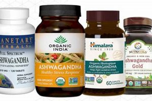 Top-Rated: Best Herbal Supplements Brands Guide 2024 The Ultimate Herbal Remedies Guide: Natural Healing for a Healthier Life Top-Rated: Best Herbal Supplements Brands Guide 2024 | The Ultimate Herbal Remedies Guide: Natural Healing for a Healthier Life