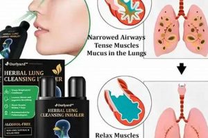 Natural Herbal Lung Cleansing Inhaler: Breathe Easy Guide The Ultimate Herbal Remedies Guide: Natural Healing for a Healthier Life Natural Herbal Lung Cleansing Inhaler: Breathe Easy Guide | The Ultimate Herbal Remedies Guide: Natural Healing for a Healthier Life