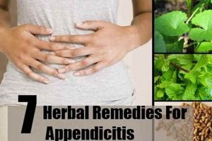 Natural Appendicitis Herbal Treatment: Does It Work? The Ultimate Herbal Remedies Guide: Natural Healing for a Healthier Life Natural Appendicitis Herbal Treatment: Does It Work? | The Ultimate Herbal Remedies Guide: Natural Healing for a Healthier Life