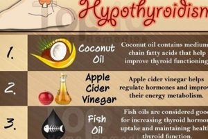 Natural Herbal Remedies for Hypothyroidism Support The Ultimate Herbal Remedies Guide: Natural Healing for a Healthier Life Natural Herbal Remedies for Hypothyroidism Support | The Ultimate Herbal Remedies Guide: Natural Healing for a Healthier Life
