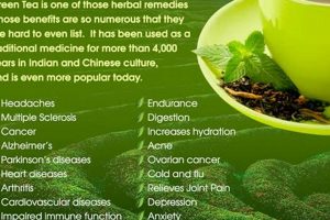 Herbal Tea or Green Tea? Understanding the Difference The Ultimate Herbal Remedies Guide: Natural Healing for a Healthier Life Herbal Tea or Green Tea? Understanding the Difference | The Ultimate Herbal Remedies Guide: Natural Healing for a Healthier Life