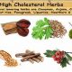 Natural Herbals: Herbal Meds for Cholesterol Control | The Ultimate Herbal Remedies Guide: Natural Healing for a Healthier Life