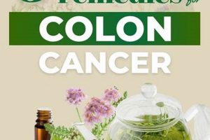 Natural Herbal Remedies for Colon Cancer: A Guide The Ultimate Herbal Remedies Guide: Natural Healing for a Healthier Life Natural Herbal Remedies for Colon Cancer: A Guide | The Ultimate Herbal Remedies Guide: Natural Healing for a Healthier Life