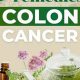 Natural Herbal Remedies for Colon Cancer: A Guide | The Ultimate Herbal Remedies Guide: Natural Healing for a Healthier Life