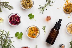 Natural Herbal Solutions: Your Guide + Benefits The Ultimate Herbal Remedies Guide: Natural Healing for a Healthier Life Natural Herbal Solutions: Your Guide + Benefits | The Ultimate Herbal Remedies Guide: Natural Healing for a Healthier Life