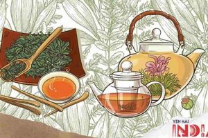 Discover India Herbal Tea: Benefits & Blends The Ultimate Herbal Remedies Guide: Natural Healing for a Healthier Life Discover India Herbal Tea: Benefits & Blends | The Ultimate Herbal Remedies Guide: Natural Healing for a Healthier Life