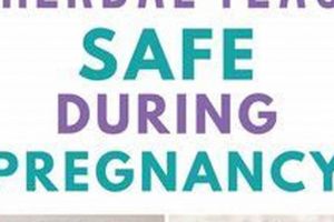 Safe Sips: Herbal Teas You Can Drink While Pregnant Guide Safem Fabrication - Precision Engineering & Custom Manufacturing Solutions Safe Sips: Herbal Teas You Can Drink While Pregnant Guide | Safem Fabrication - Precision Engineering & Custom Manufacturing Solutions