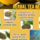 Unlock Jiaduobao Herbal Tea Benefits: Your Guide + More | The Ultimate Herbal Remedies Guide: Natural Healing for a Healthier Life
