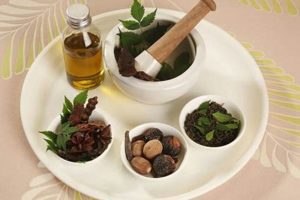 Natural Diet Herbal Boost: Weight Loss Tips The Ultimate Herbal Remedies Guide: Natural Healing for a Healthier Life Natural Diet Herbal Boost: Weight Loss Tips | The Ultimate Herbal Remedies Guide: Natural Healing for a Healthier Life