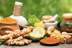 Grow Healthy: Organic Herbal Plants & More The Ultimate Herbal Remedies Guide: Natural Healing for a Healthier Life Grow Healthy: Organic Herbal Plants & More | The Ultimate Herbal Remedies Guide: Natural Healing for a Healthier Life