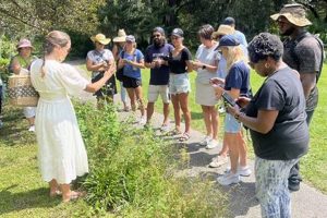 Your Herbal Choices Charleston: Local Wellness & More The Ultimate Herbal Remedies Guide: Natural Healing for a Healthier Life Your Herbal Choices Charleston: Local Wellness & More | The Ultimate Herbal Remedies Guide: Natural Healing for a Healthier Life