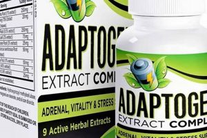 Boost Health: Adaptogen Herbal Supplements Guide The Ultimate Herbal Remedies Guide: Natural Healing for a Healthier Life Boost Health: Adaptogen Herbal Supplements Guide | The Ultimate Herbal Remedies Guide: Natural Healing for a Healthier Life