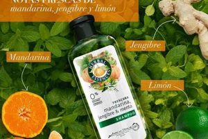 Unleash Herbal Essences Mandarina Jengibre y Menta: Refresh & Shine The Ultimate Herbal Remedies Guide: Natural Healing for a Healthier Life Unleash Herbal Essences Mandarina Jengibre y Menta: Refresh & Shine | The Ultimate Herbal Remedies Guide: Natural Healing for a Healthier Life