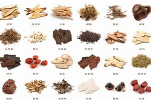 Unlock the Power: Chinese Herbal Prescriptions & Wellness The Ultimate Herbal Remedies Guide: Natural Healing for a Healthier Life Unlock the Power: Chinese Herbal Prescriptions & Wellness | The Ultimate Herbal Remedies Guide: Natural Healing for a Healthier Life