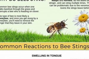 Natural Herbal Remedy Bee Sting Relief Guide The Ultimate Herbal Remedies Guide: Natural Healing for a Healthier Life Natural Herbal Remedy Bee Sting Relief Guide | The Ultimate Herbal Remedies Guide: Natural Healing for a Healthier Life