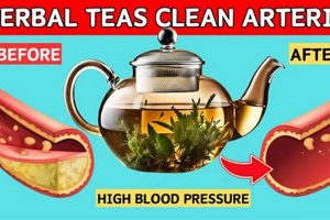 Best Herbal Tea to Lower Blood Pressure: Your Guide The Ultimate Herbal Remedies Guide: Natural Healing for a Healthier Life Best Herbal Tea to Lower Blood Pressure: Your Guide | The Ultimate Herbal Remedies Guide: Natural Healing for a Healthier Life