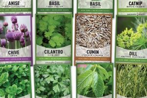 Buy Herbals Herbal Seeds Online: Grow Your Own Safem Fabrication - Precision Engineering & Custom Manufacturing Solutions Buy Herbals Herbal Seeds Online: Grow Your Own | Safem Fabrication - Precision Engineering & Custom Manufacturing Solutions