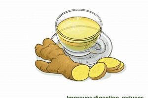 Soothe Acid Reflux Naturally: Herbal Teas That Help! The Ultimate Herbal Remedies Guide: Natural Healing for a Healthier Life Soothe Acid Reflux Naturally: Herbal Teas That Help! | The Ultimate Herbal Remedies Guide: Natural Healing for a Healthier Life