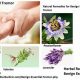 Natural Essential Tremor Herbal Treatment: Relief & Guide | The Ultimate Herbal Remedies Guide: Natural Healing for a Healthier Life