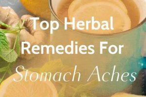 Natural Herbal Stomach Remedies: Relief & Support The Ultimate Herbal Remedies Guide: Natural Healing for a Healthier Life Natural Herbal Stomach Remedies: Relief & Support | The Ultimate Herbal Remedies Guide: Natural Healing for a Healthier Life