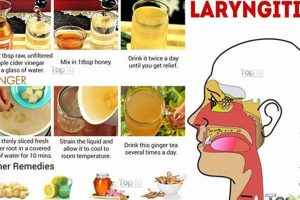 Natural Laryngitis Herbal Treatment: Relief Guide Safem Fabrication - Precision Engineering & Custom Manufacturing Solutions Natural Laryngitis Herbal Treatment: Relief Guide | Safem Fabrication - Precision Engineering & Custom Manufacturing Solutions