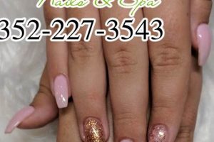 Read Before You Go: Herbal Nails & Spa Clermont Reviews (2024) The Ultimate Herbal Remedies Guide: Natural Healing for a Healthier Life Read Before You Go: Herbal Nails & Spa Clermont Reviews (2024) | The Ultimate Herbal Remedies Guide: Natural Healing for a Healthier Life