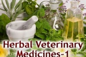 Natural Herbal Veterinary Medicine: Care & Benefits The Ultimate Herbal Remedies Guide: Natural Healing for a Healthier Life Natural Herbal Veterinary Medicine: Care & Benefits | The Ultimate Herbal Remedies Guide: Natural Healing for a Healthier Life