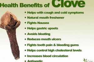 Unlock Clove Herbal Benefits: A Natural Remedy The Ultimate Herbal Remedies Guide: Natural Healing for a Healthier Life Unlock Clove Herbal Benefits: A Natural Remedy | The Ultimate Herbal Remedies Guide: Natural Healing for a Healthier Life