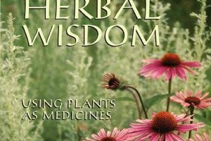 Herbal Wisdom Book: Unlock Plant Medicine The Ultimate Herbal Remedies Guide: Natural Healing for a Healthier Life Herbal Wisdom Book: Unlock Plant Medicine | The Ultimate Herbal Remedies Guide: Natural Healing for a Healthier Life