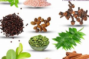 Natural Herbal Tooth Care: Safe, Effective & Fresh The Ultimate Herbal Remedies Guide: Natural Healing for a Healthier Life Natural Herbal Tooth Care: Safe, Effective & Fresh | The Ultimate Herbal Remedies Guide: Natural Healing for a Healthier Life